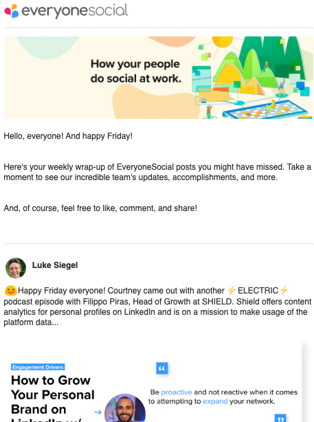 EveryoneSocial newsletter example.